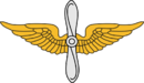 Aviation Insignia