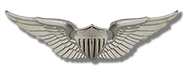 Aviator Badge