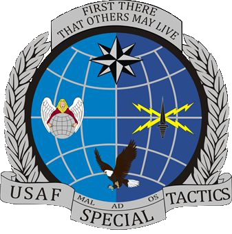 Special Tactics Officer Insignia